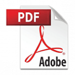 Audit Report File Logo