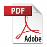 Audit Report File Logo